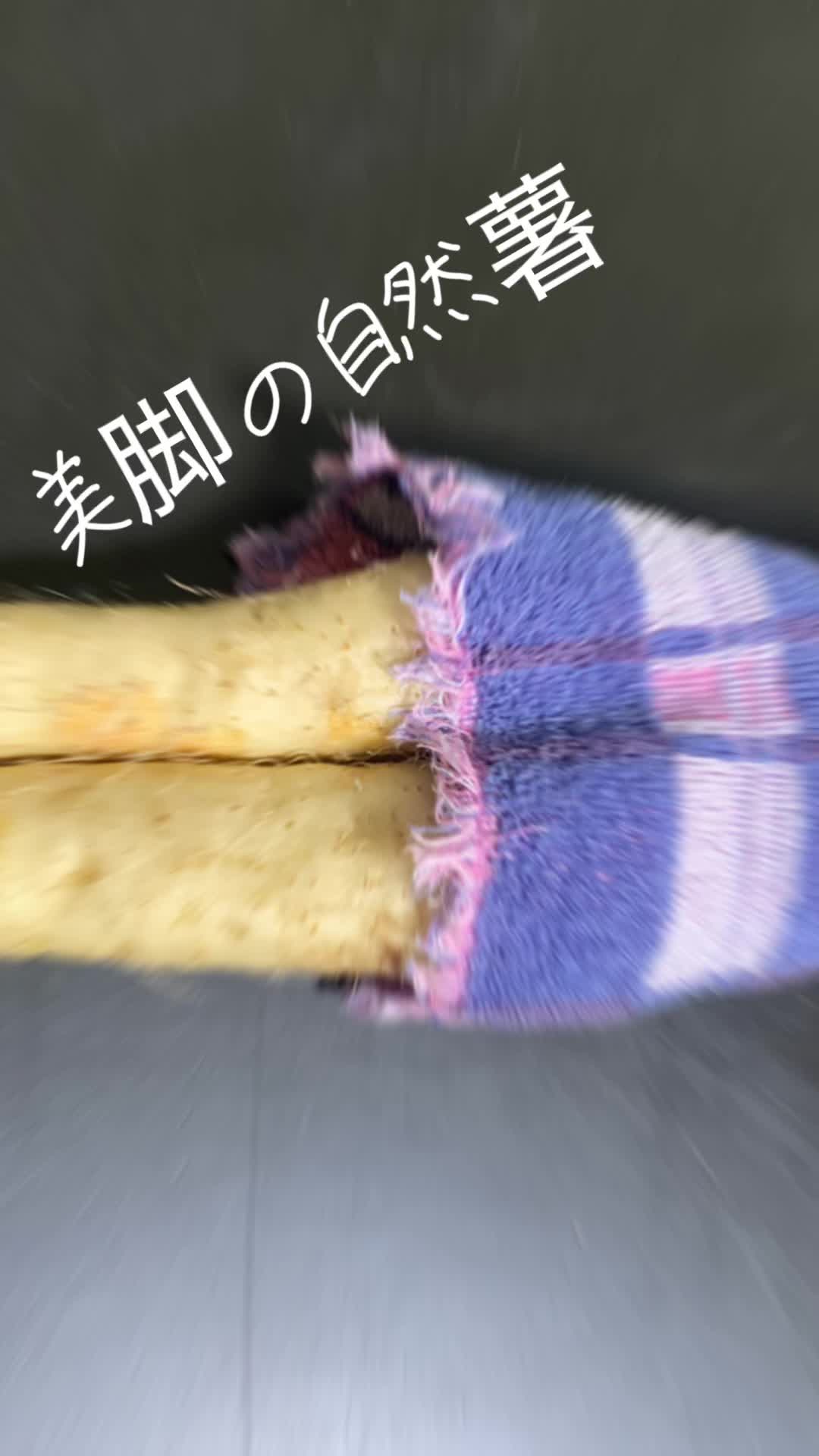 @🦜amaharu🦜