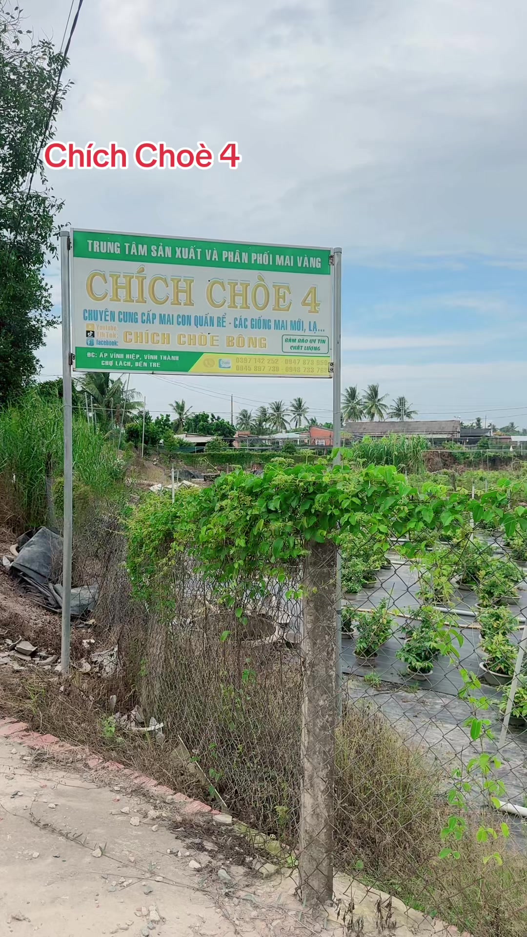 @Chichchoebong79