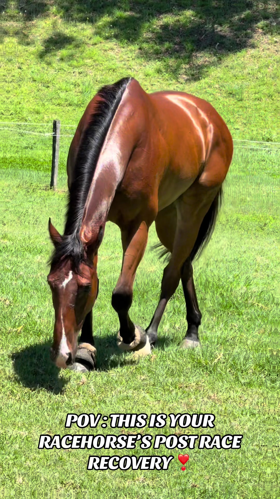 @TOBY EDMONDS RACING