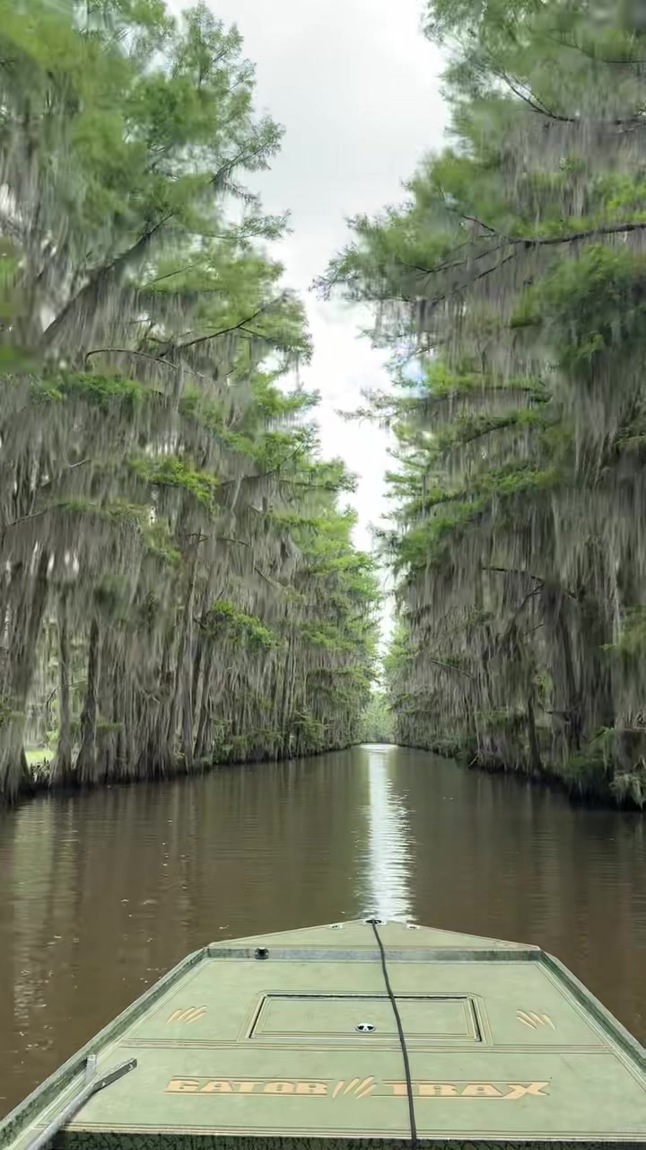 @Caddo Lake FirstCastCabin