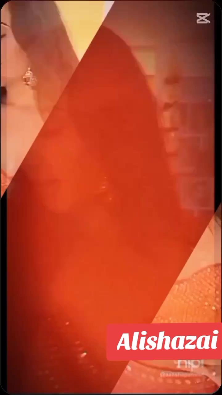 @Alishapanwar