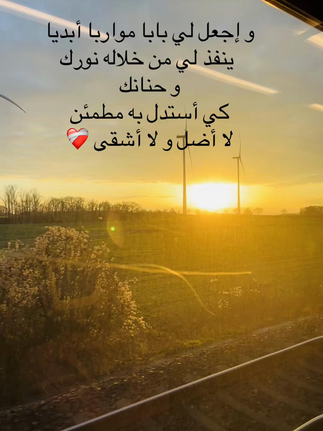 @Ameni | أماني