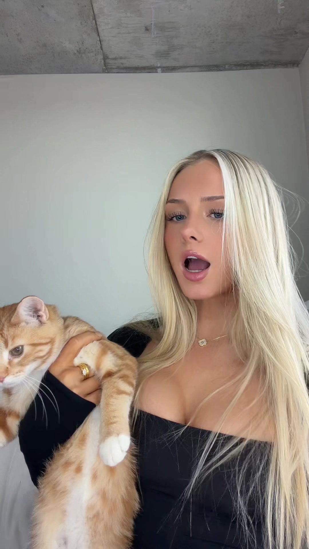 @ashiebaee