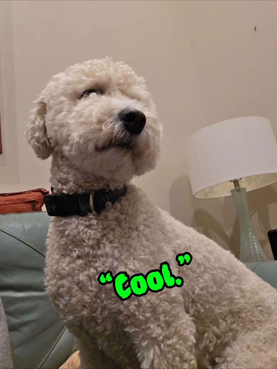 @Omaha Pet Sitter