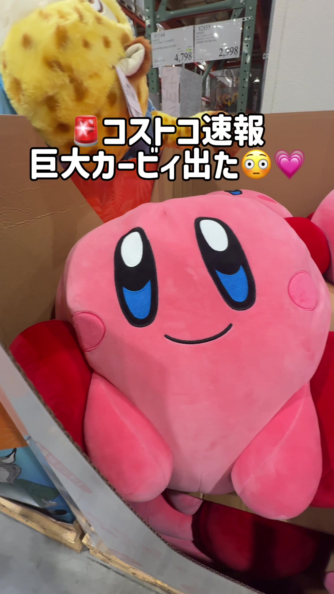 @毎日コストコに通う主婦🥤てこ