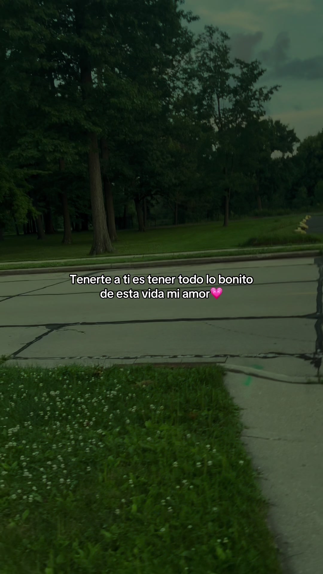 @Hamilton TK