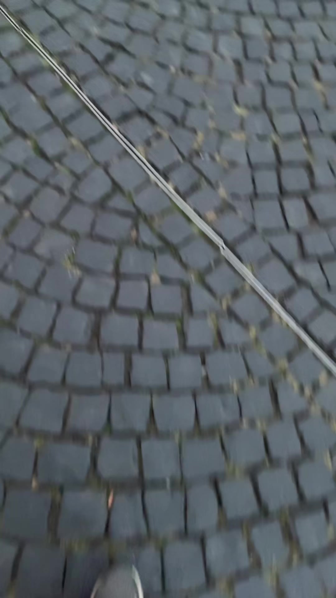 @Refugee Boi