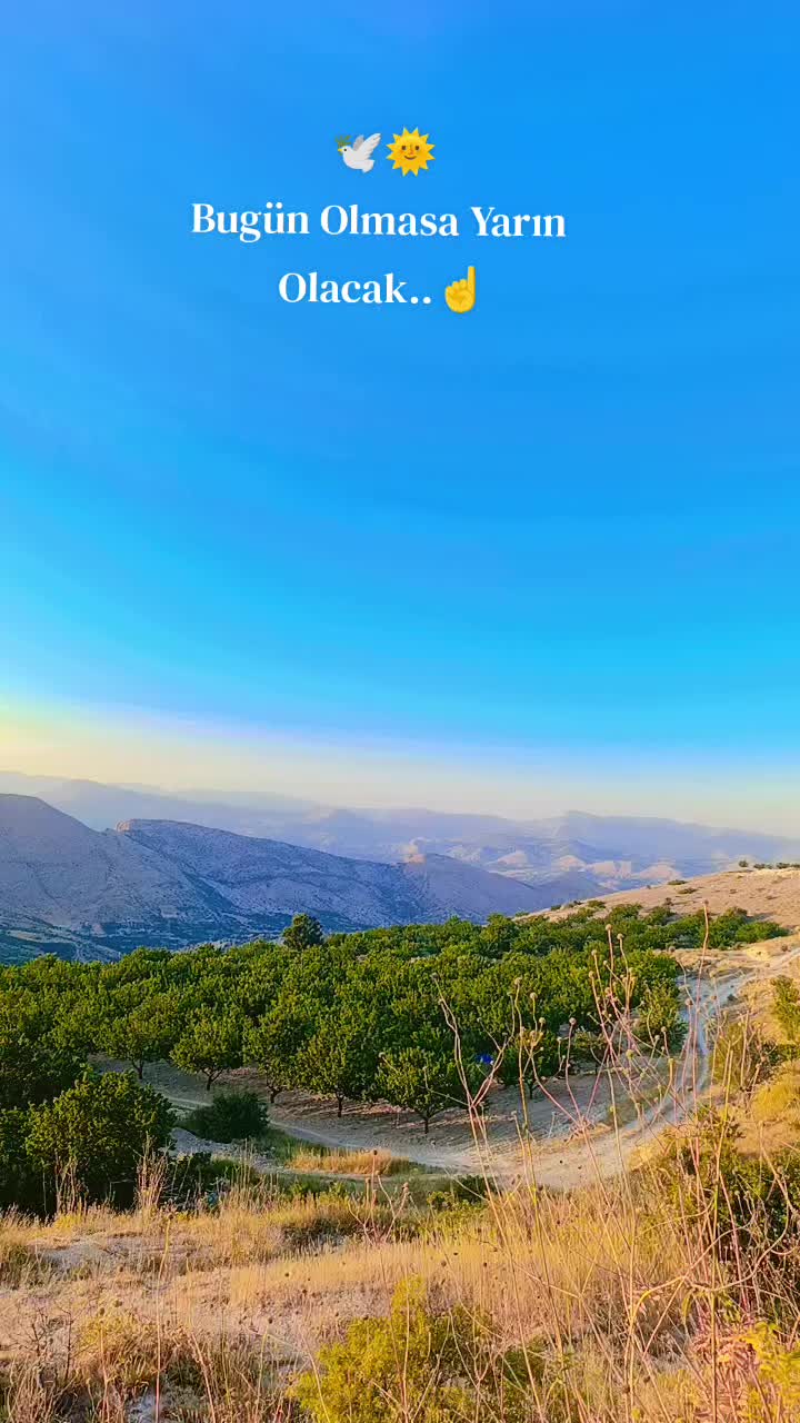 @Hamza.al82