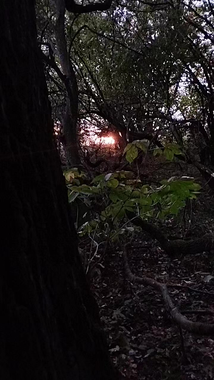 @Екатеринушка🐦🔥