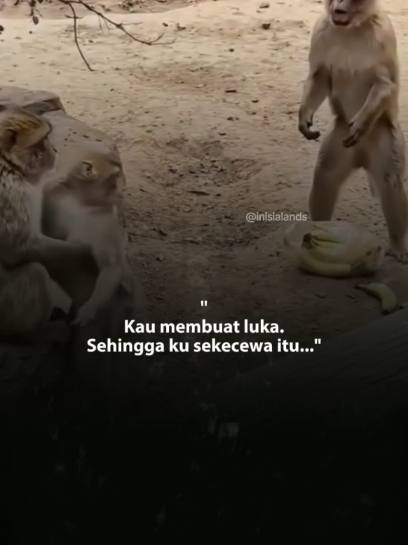 @Inisial ANDS