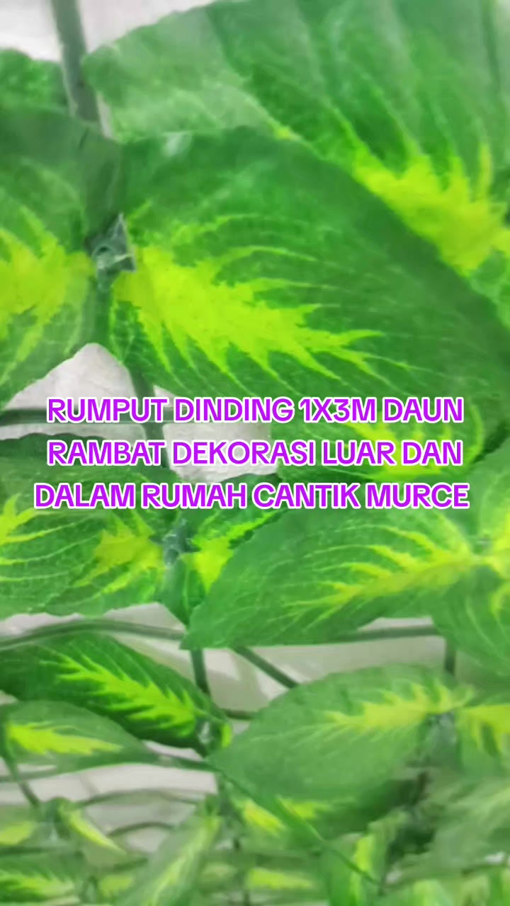 @Yanthy Gie