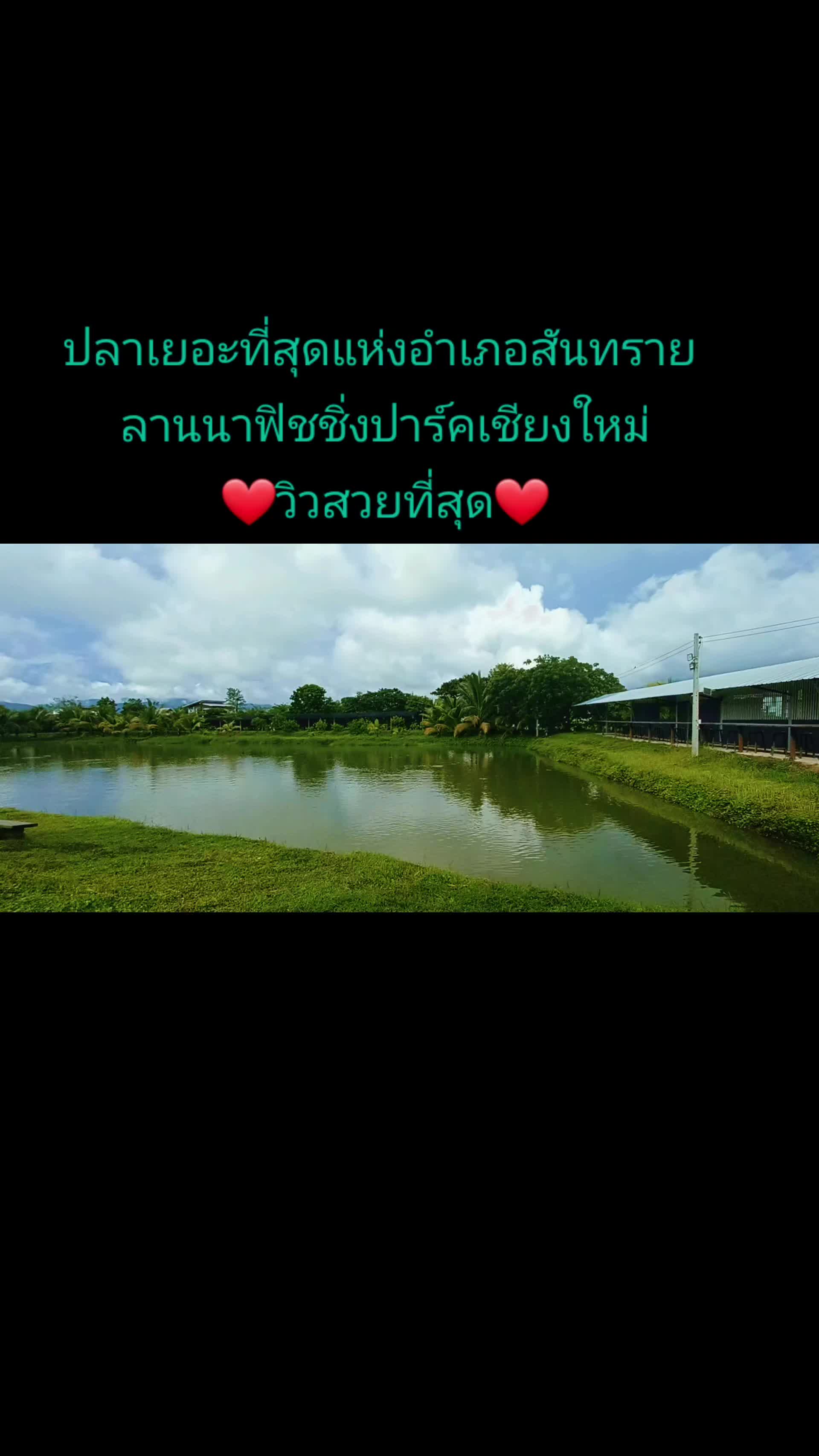 @Thai