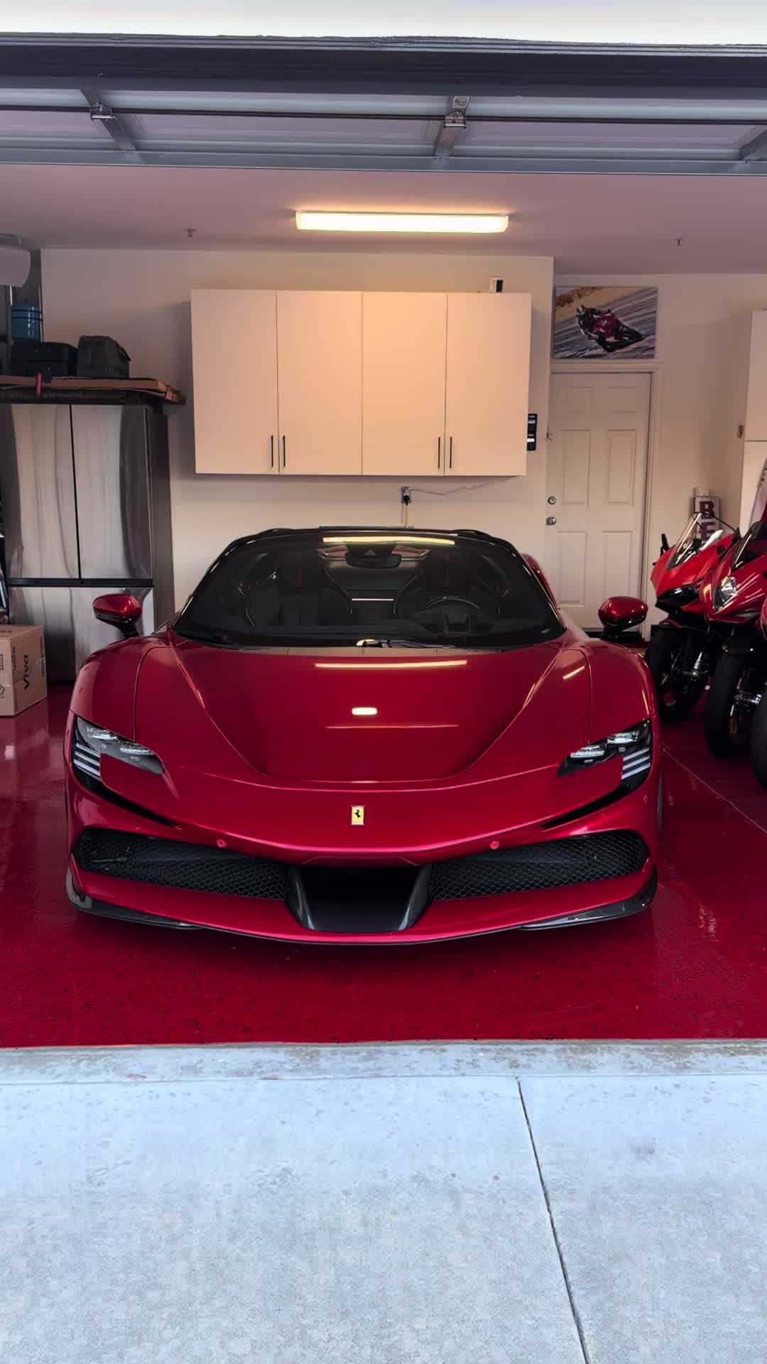 @sheeshg8x