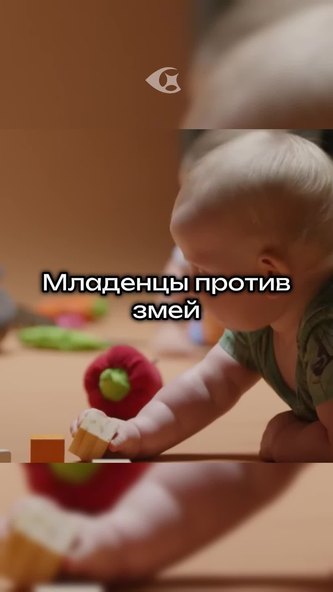 @Curiosity vision