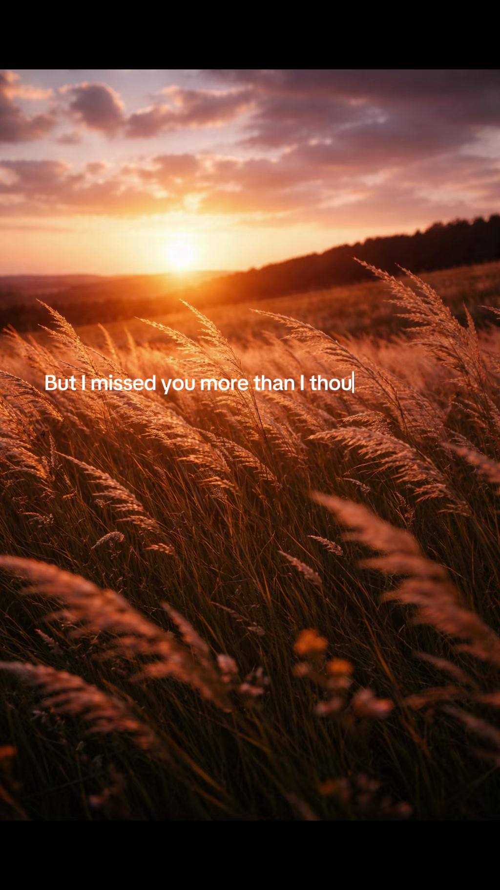 @Bird Words