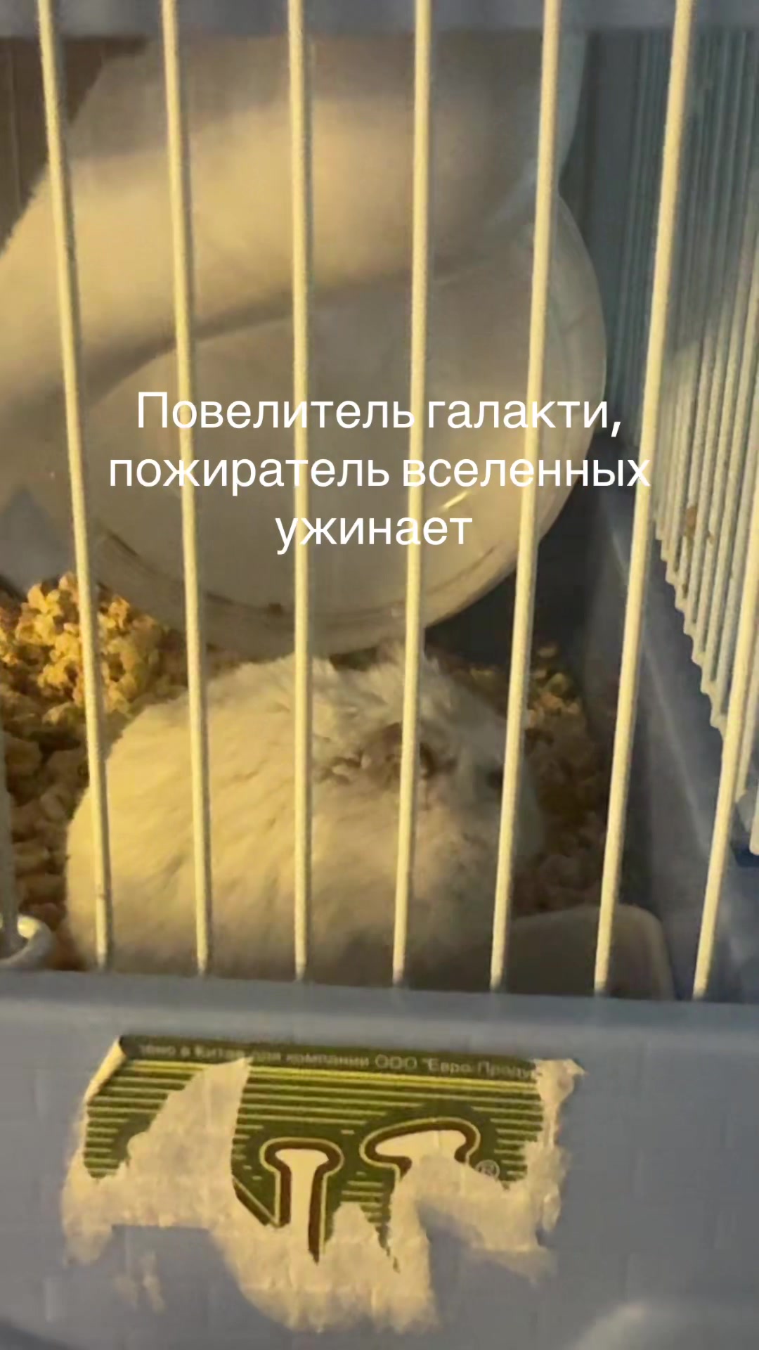 @deadspeaker11