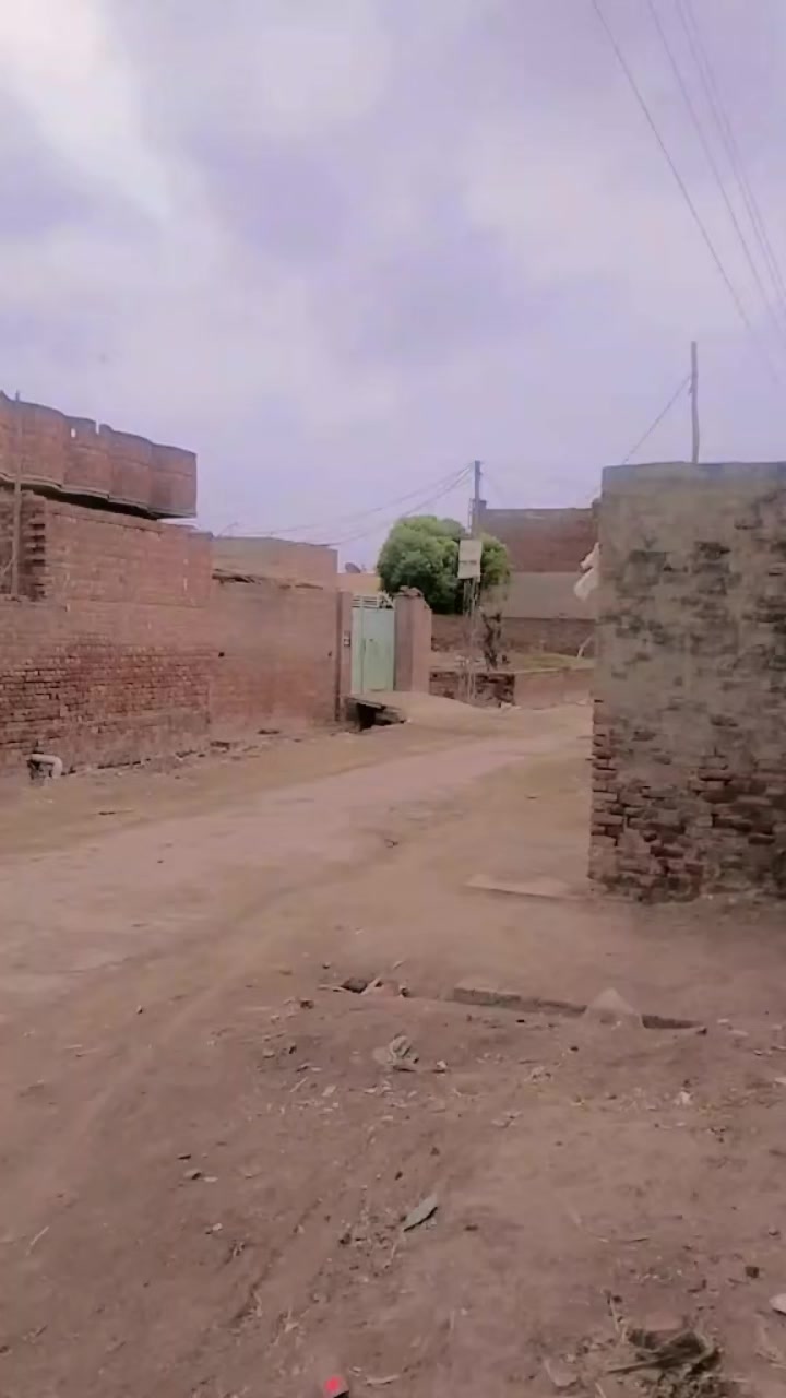 @navaib