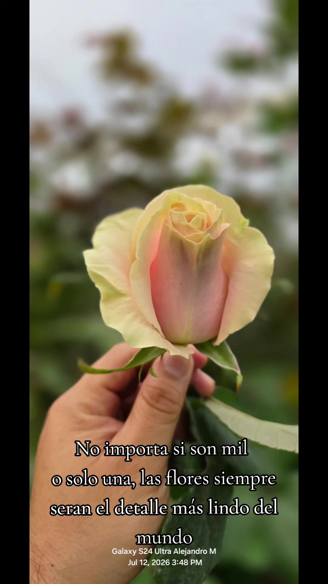 @Alejandro
