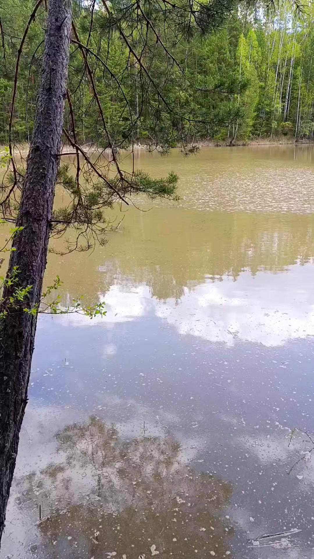 @Элодея