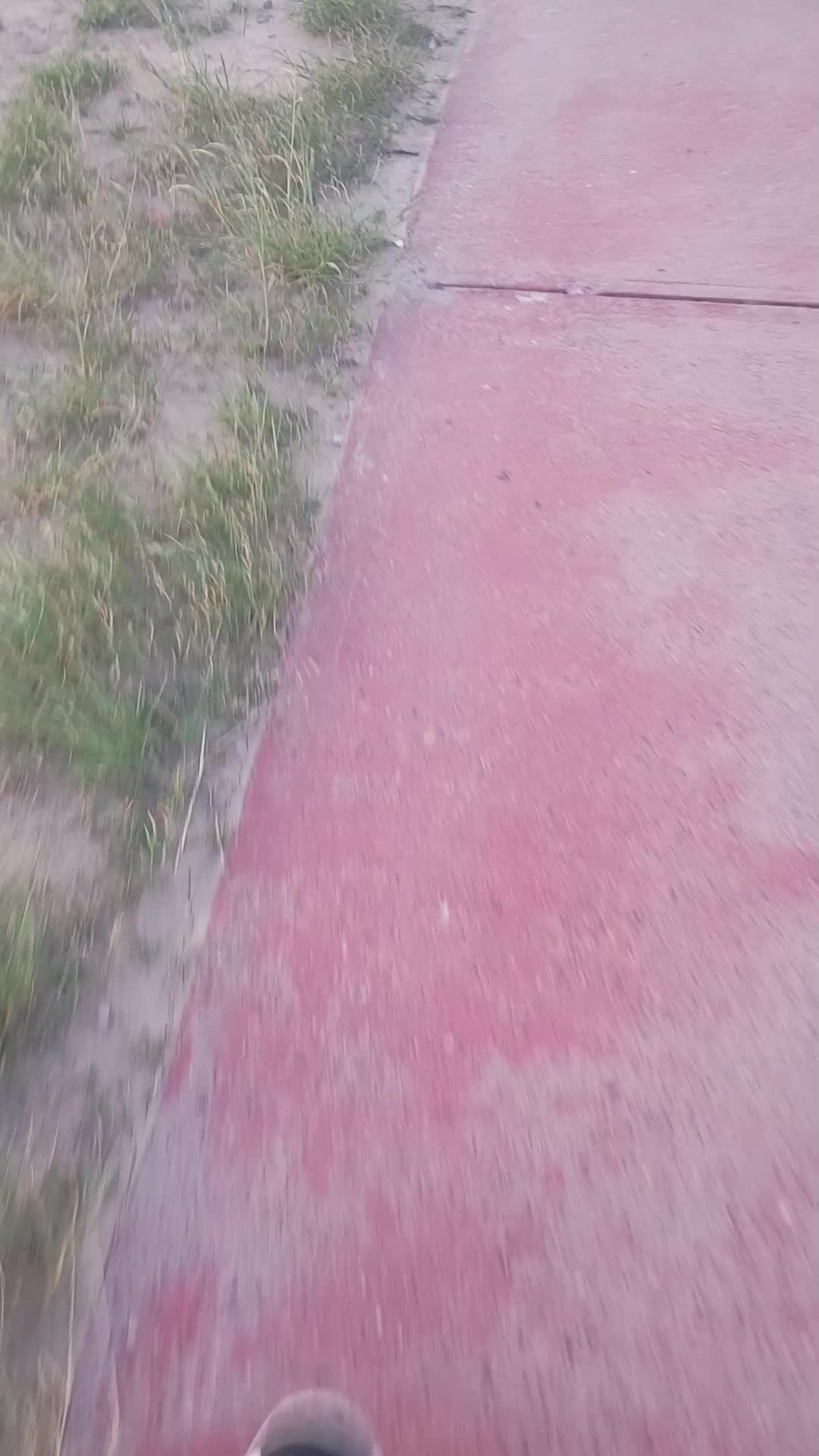 @luna Pérez