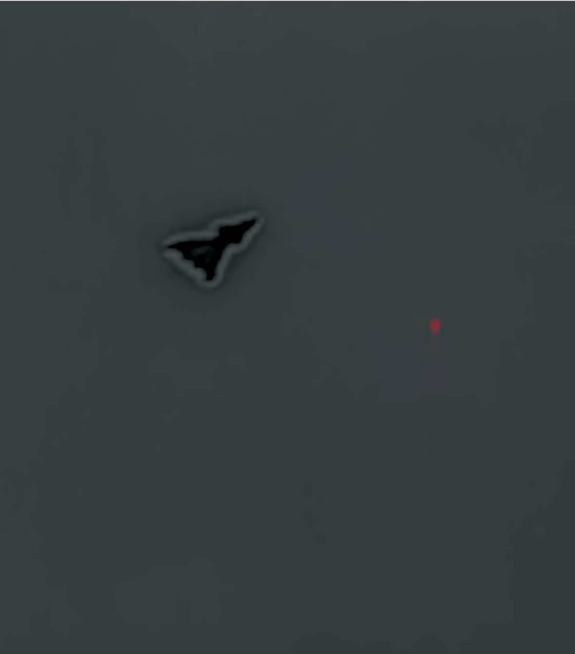 @Project Fear