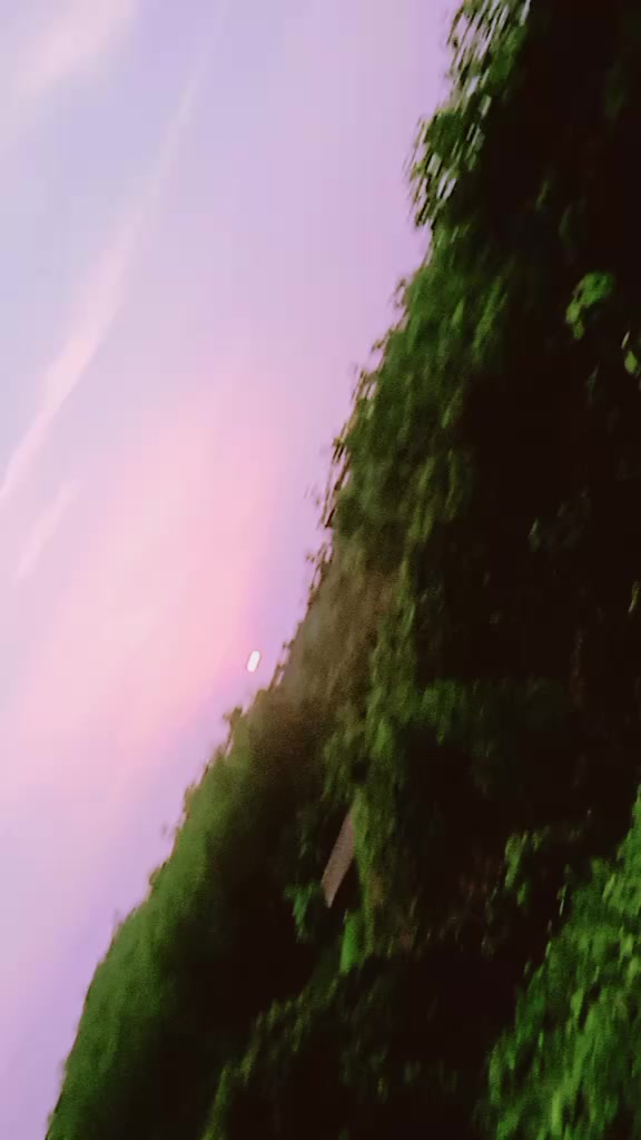 @🦋🌺প্রজাপতি🌺🦋