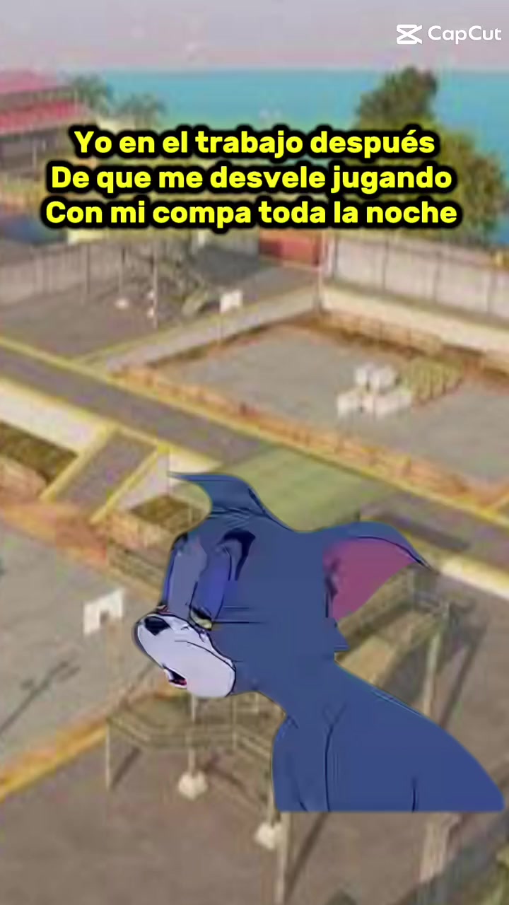 @REY black