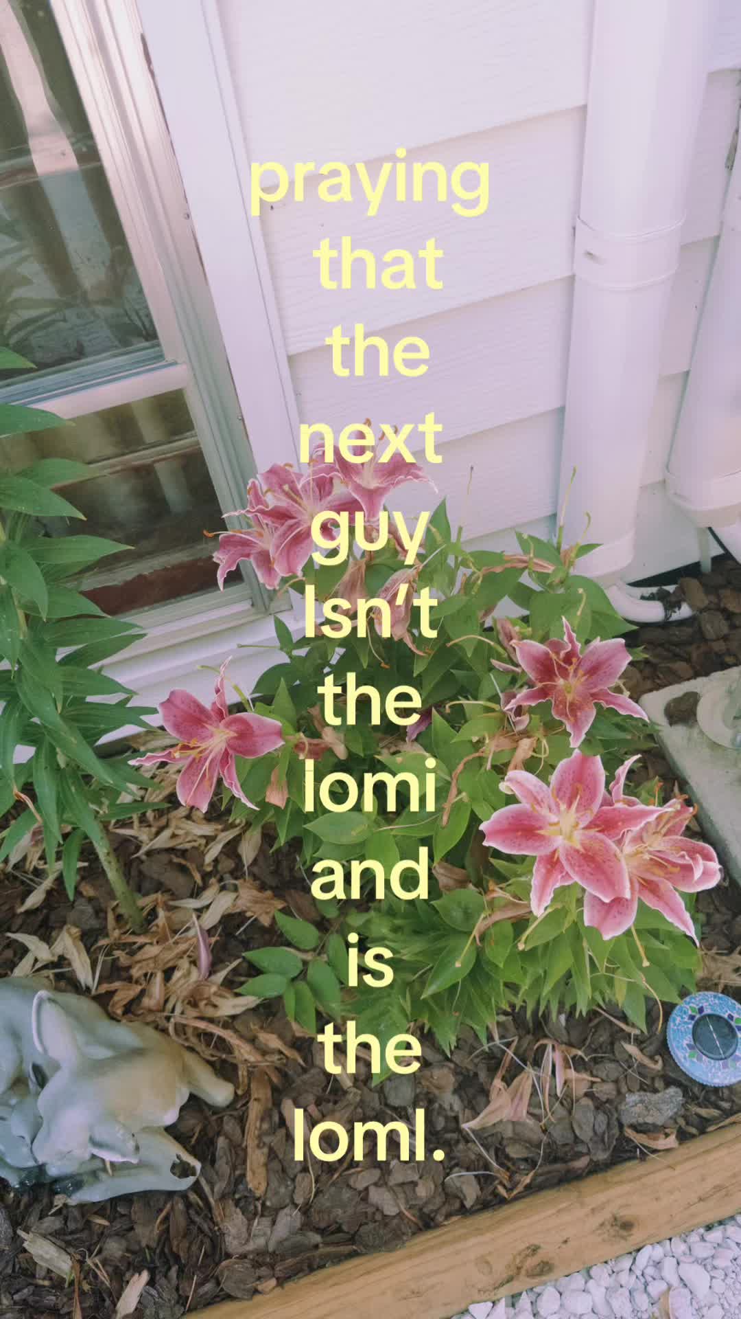 @ellaspam🐩💞🪞🧁💫