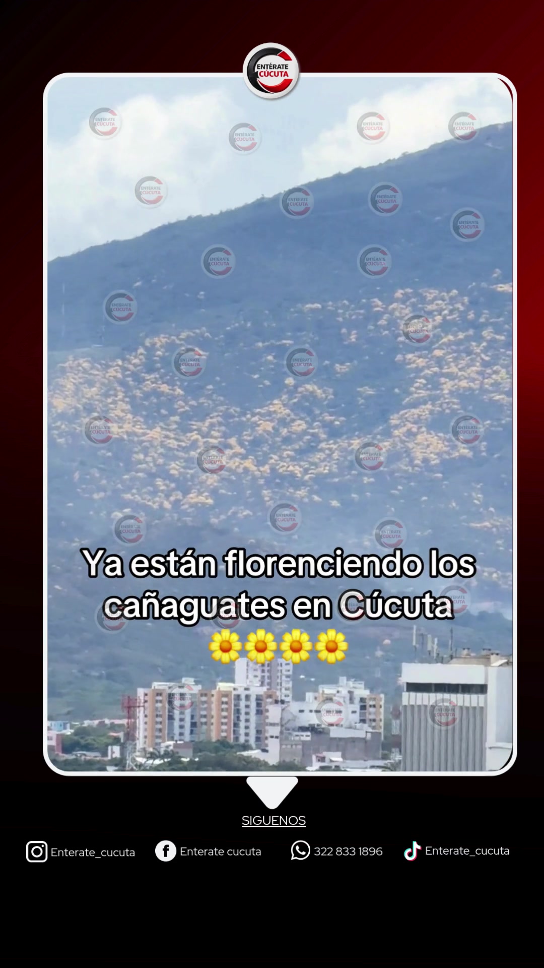 @enterate_cucuta