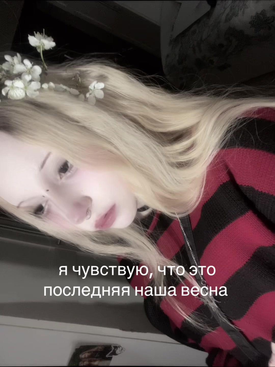@<plastic.doll>