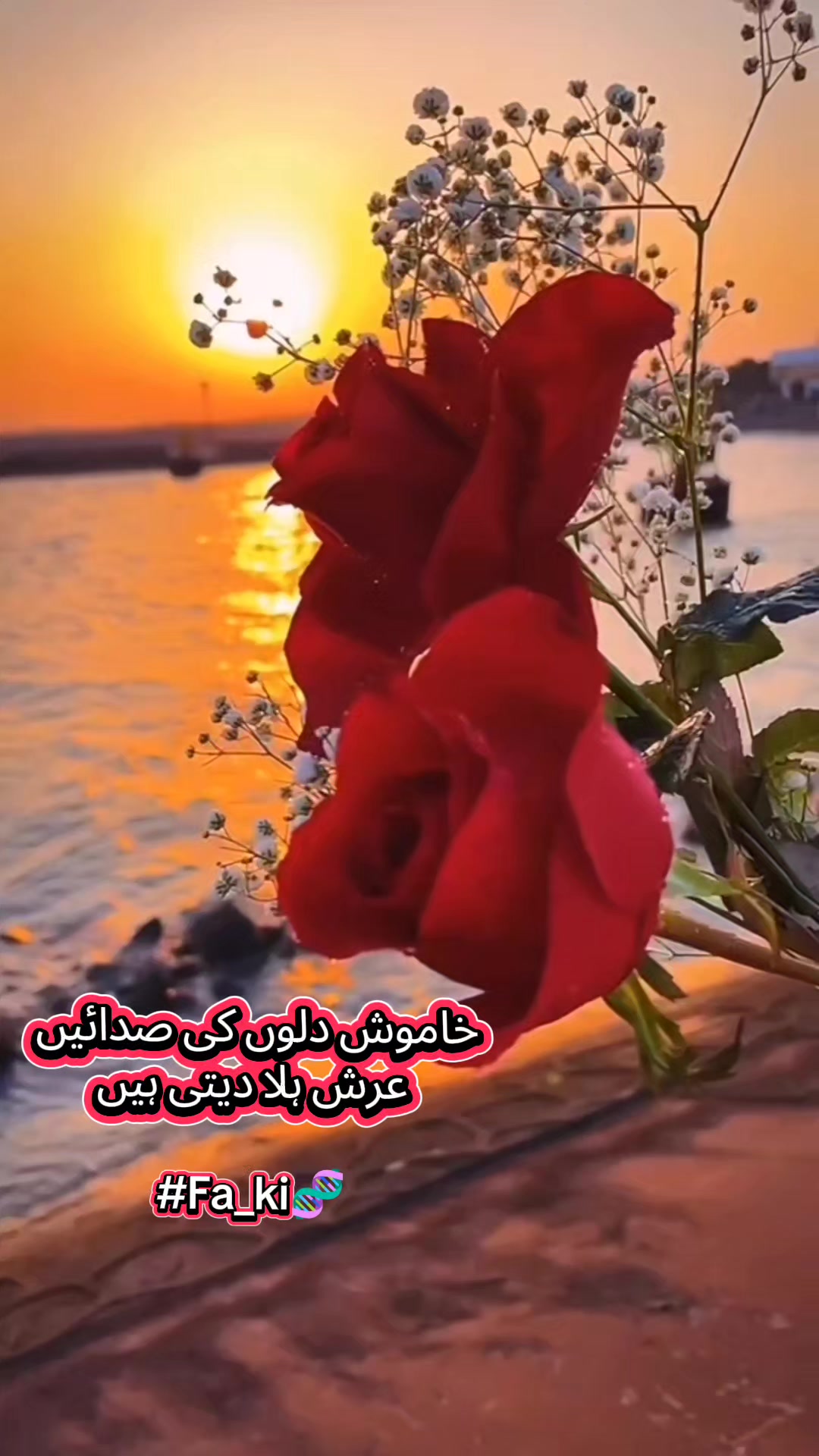 @نورین فخرچوہدری