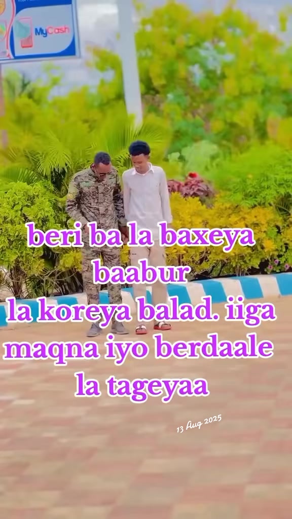 @maamulka degmada berdaale