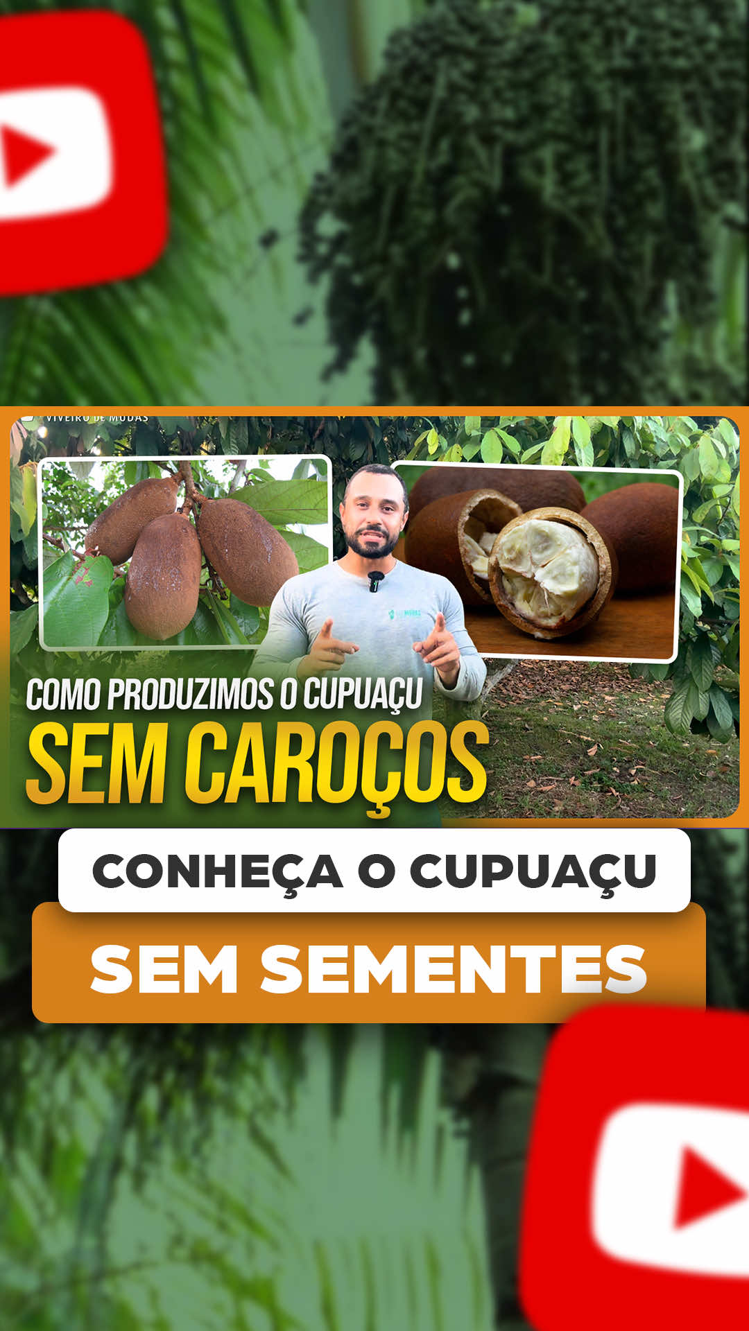 @ViveiroProMudas