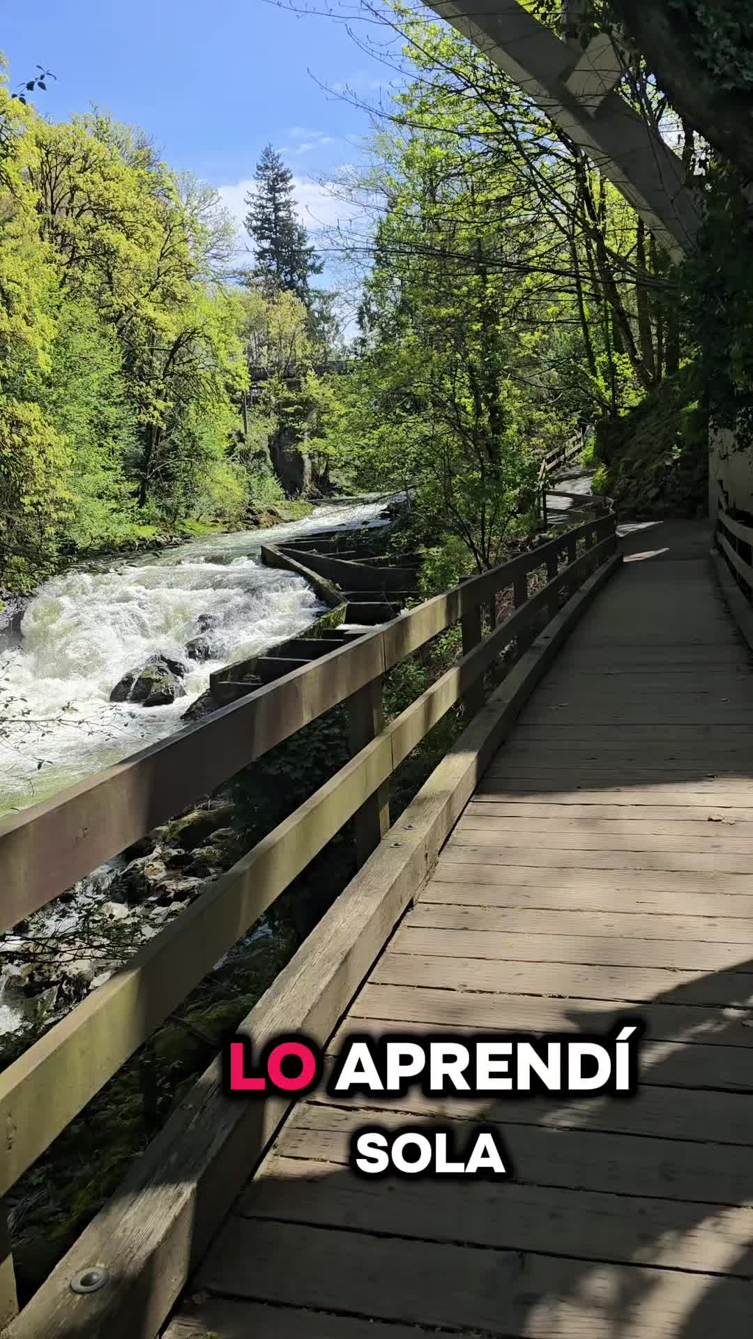 @MillaVerg
