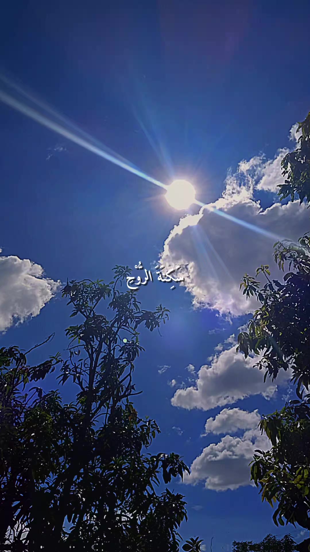 @𝐂 𝐔 ❌️ 𝐘