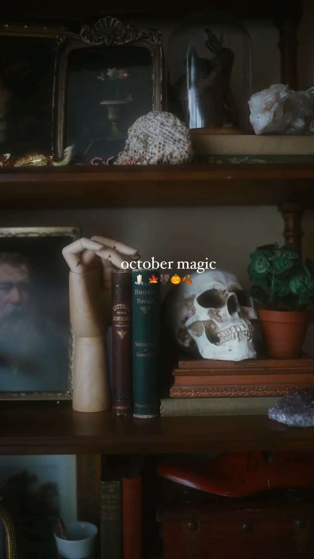 @✧ 𝑪𝒐𝒖𝒓𝒕𝒏𝒆𝒚 𝑭𝒐𝒙 ✧