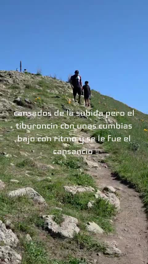 @🇲🇽tiburon 🇺🇲🇲🇽🏋&zwj;♂️🦈🗜