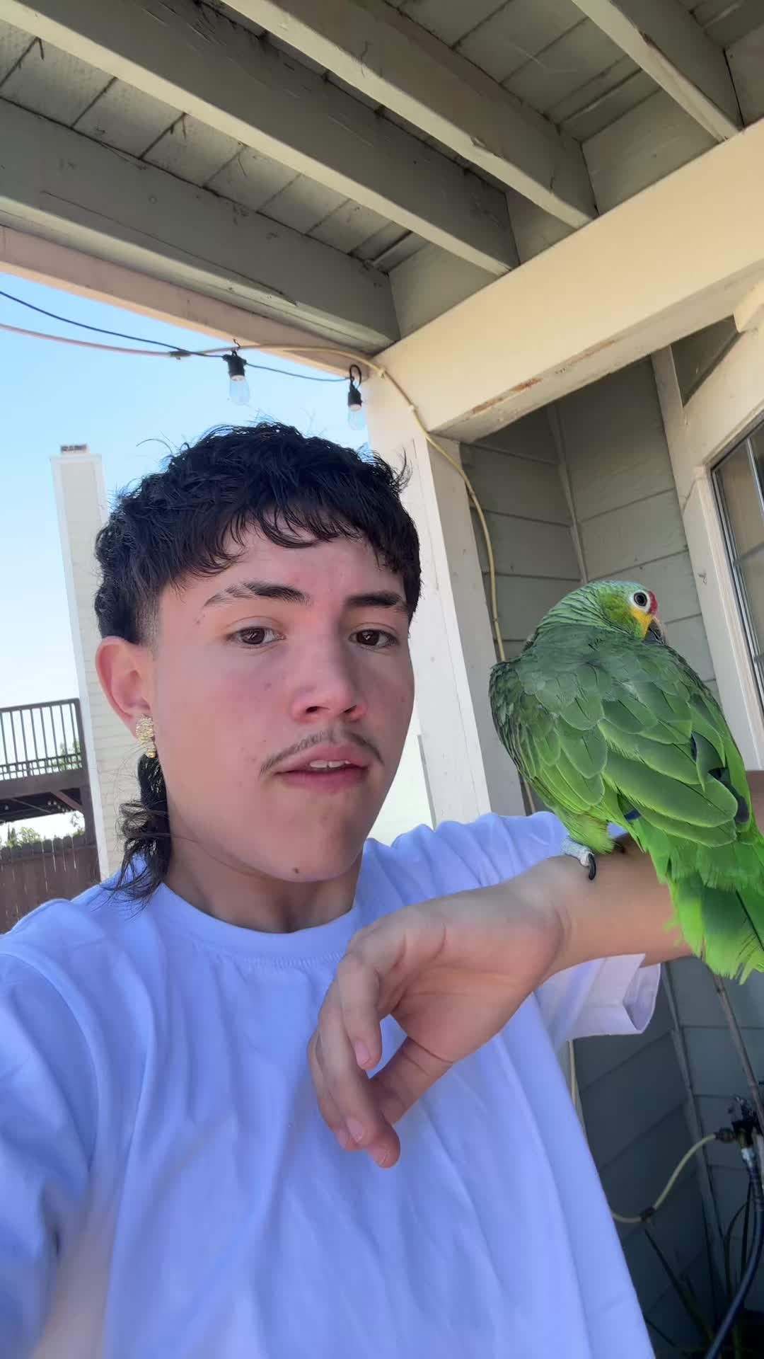 @chinobo2200