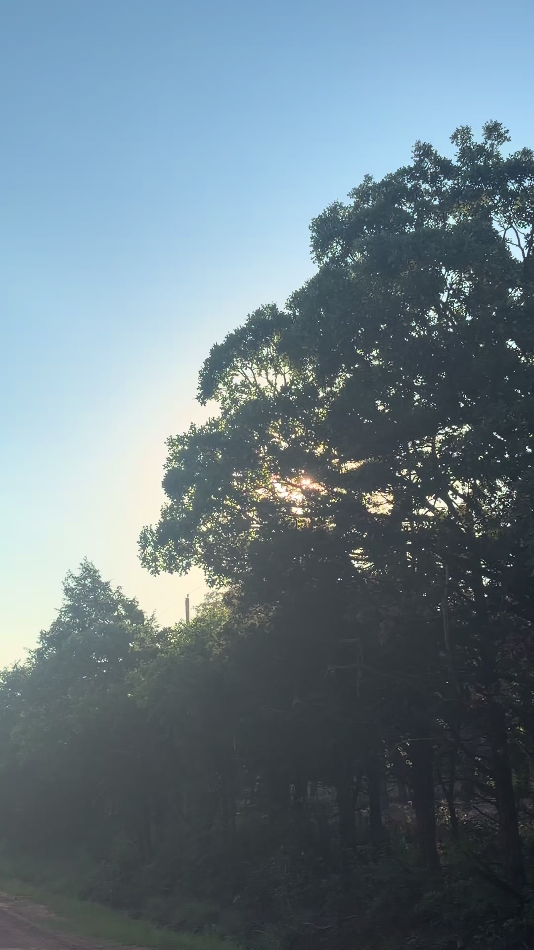 @𝓛𝓪𝓷𝓭𝓸𝓷