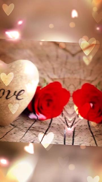 @Sharin&hearts;️🦌🌞🌛&hearts;️