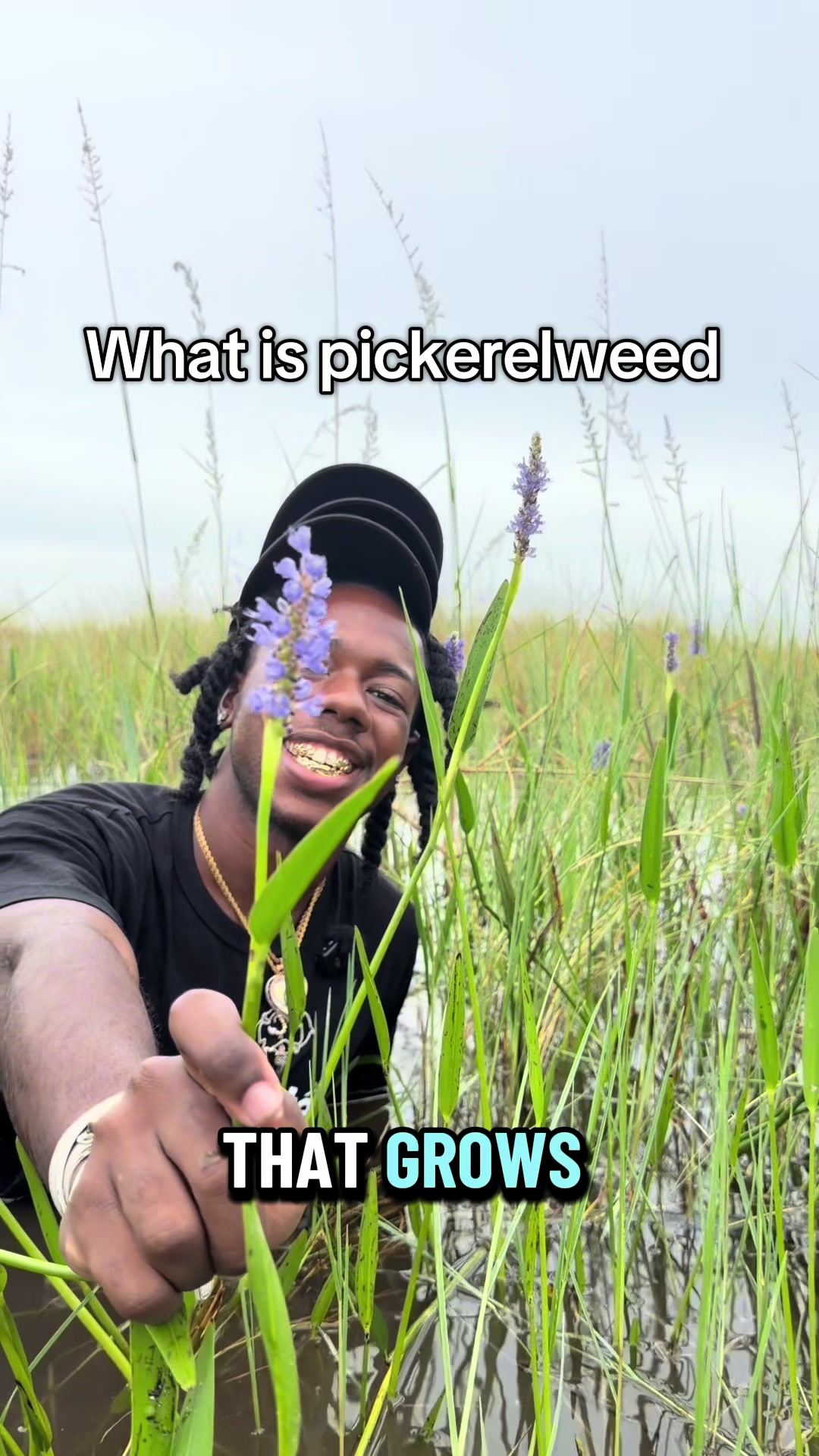 @Jordon