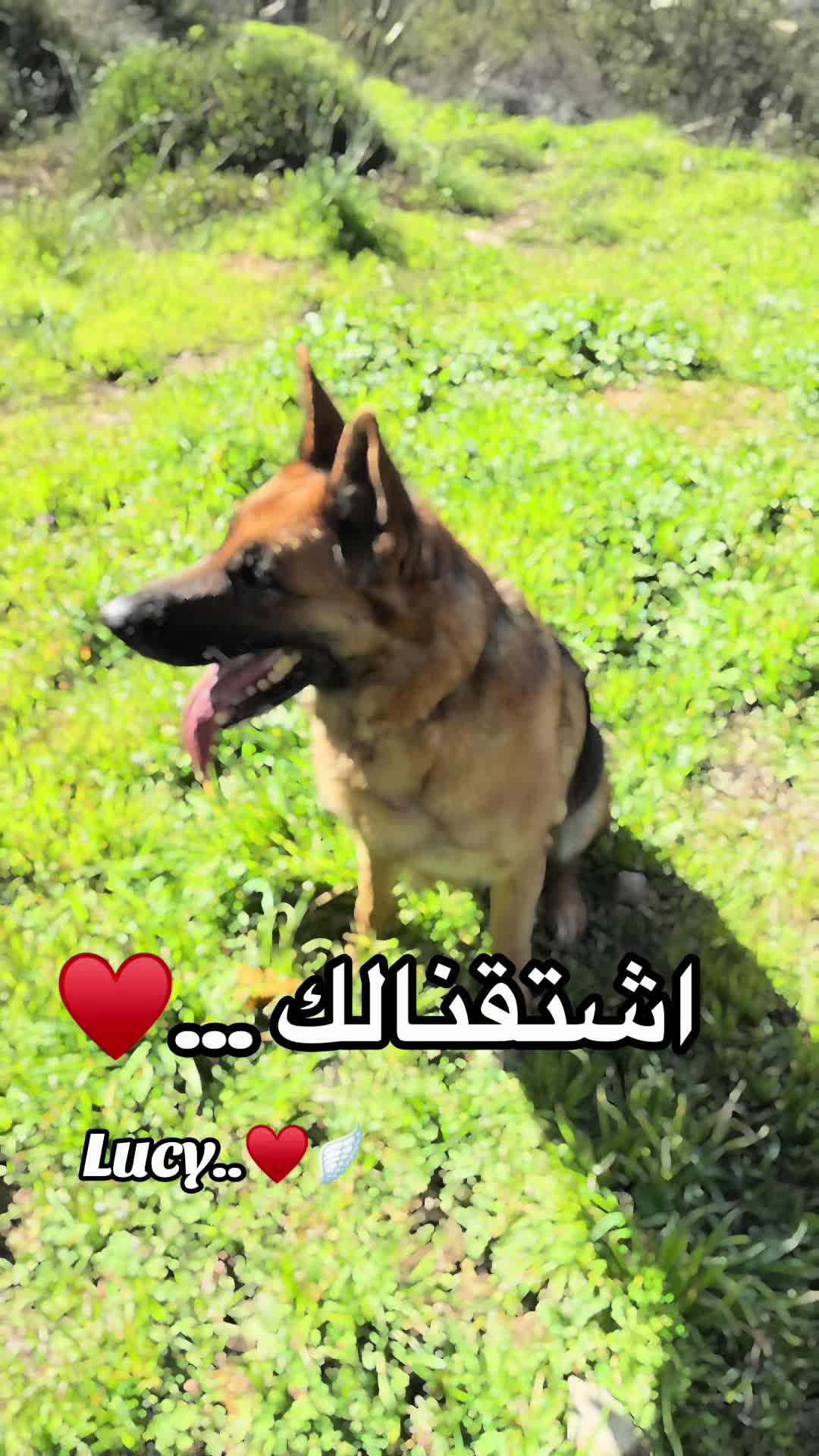 @CAndy-♡