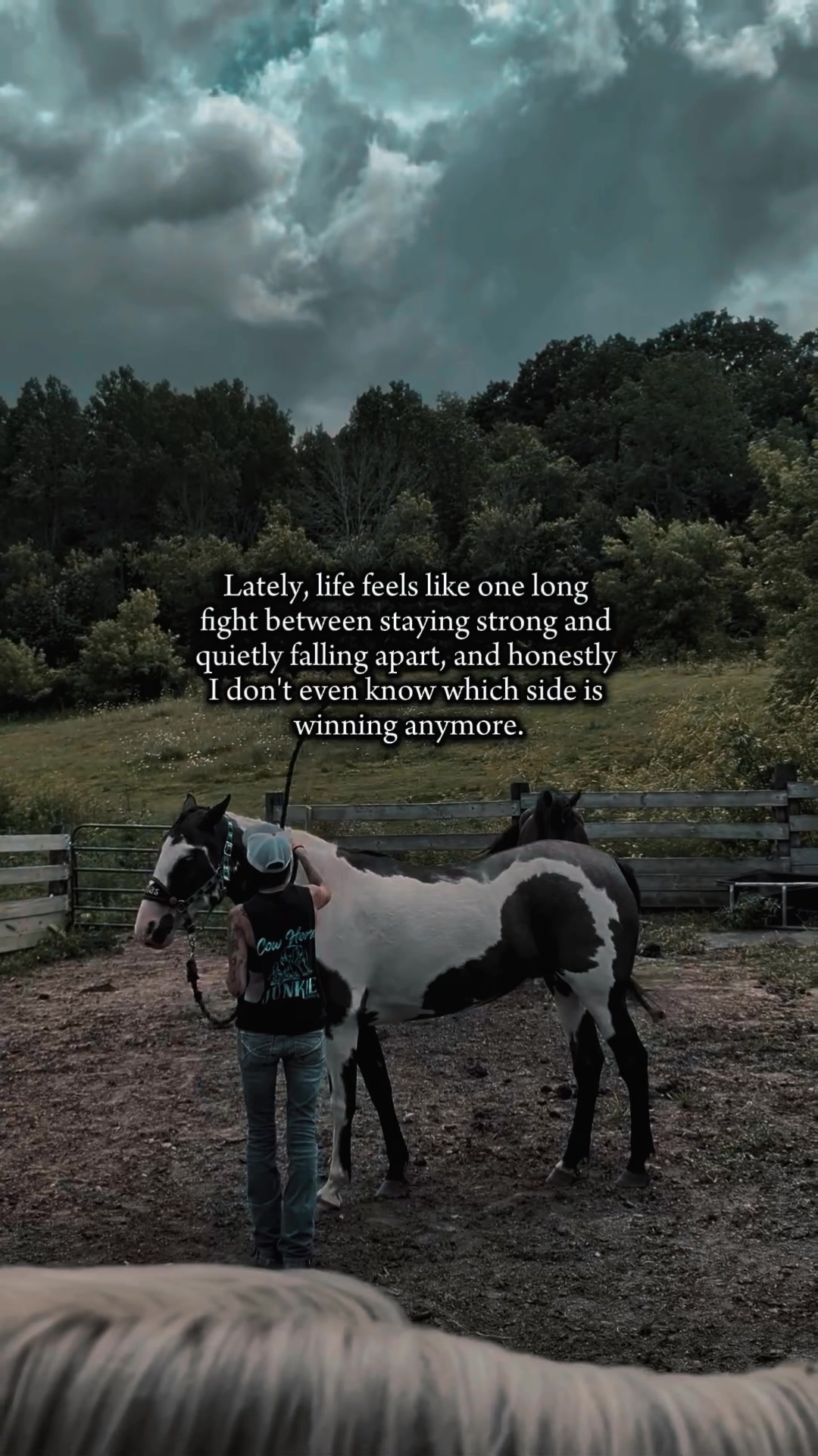 @RogueCowPonies