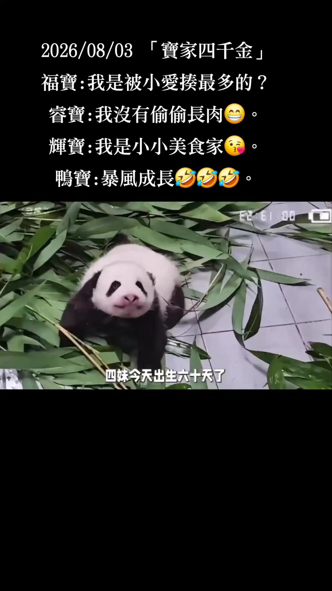 @福寶需要愛的抱抱