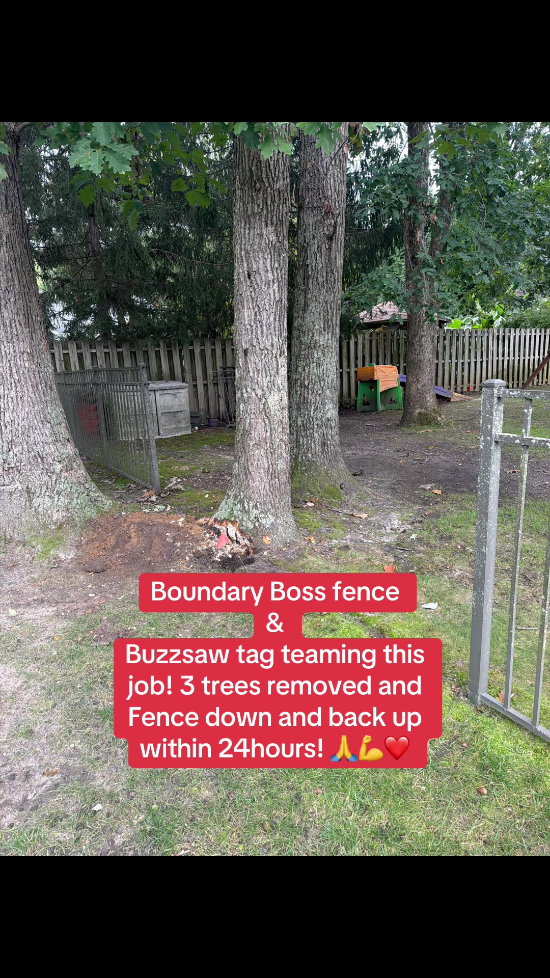 @Buzzsawtrees