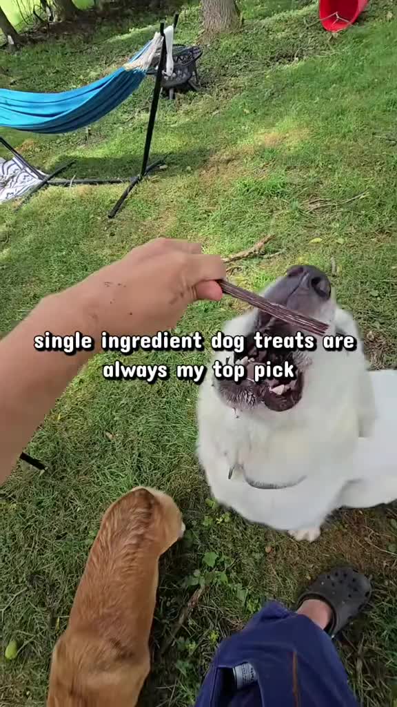 @Farmer Jake