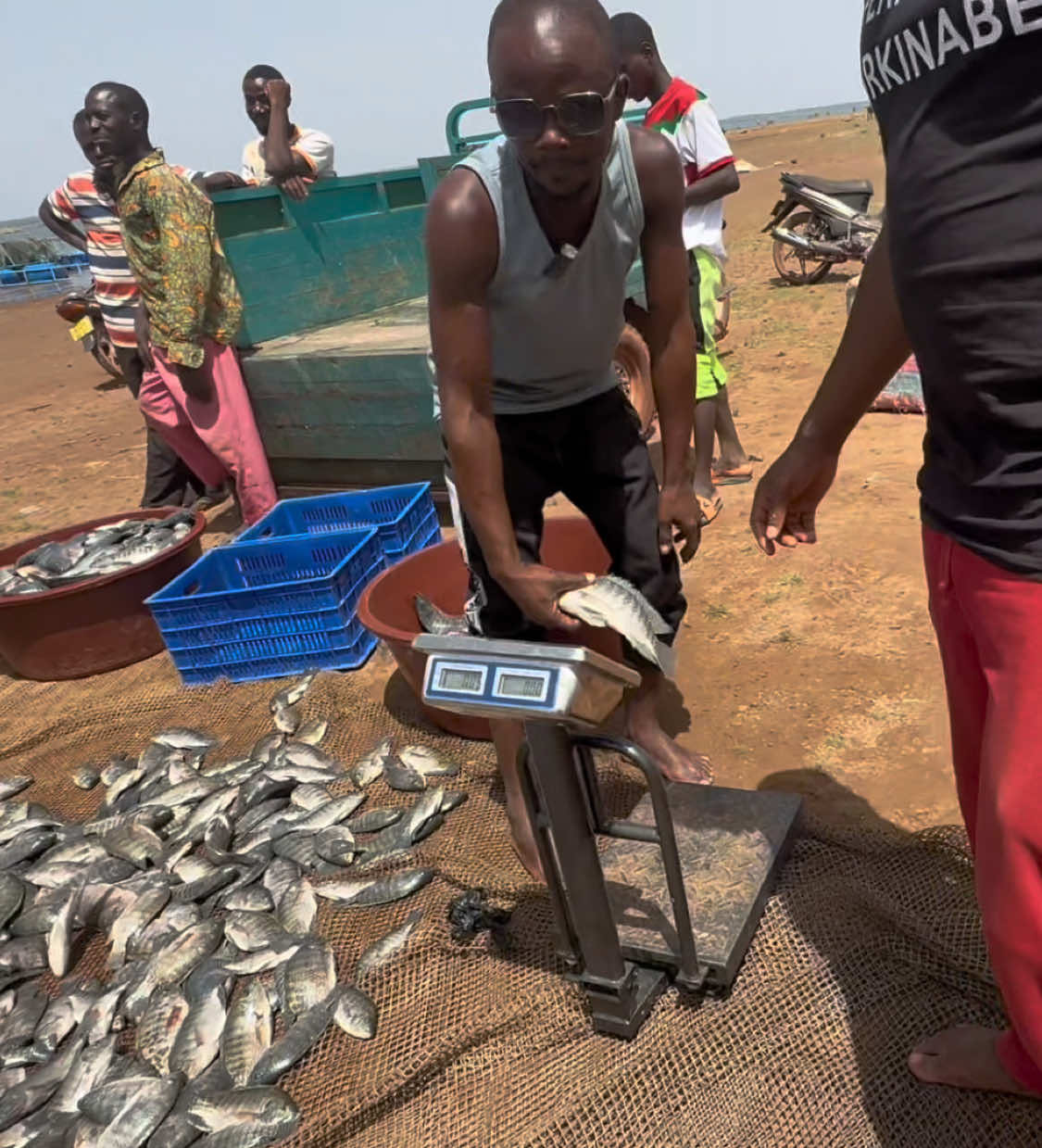 @Sambla Farming