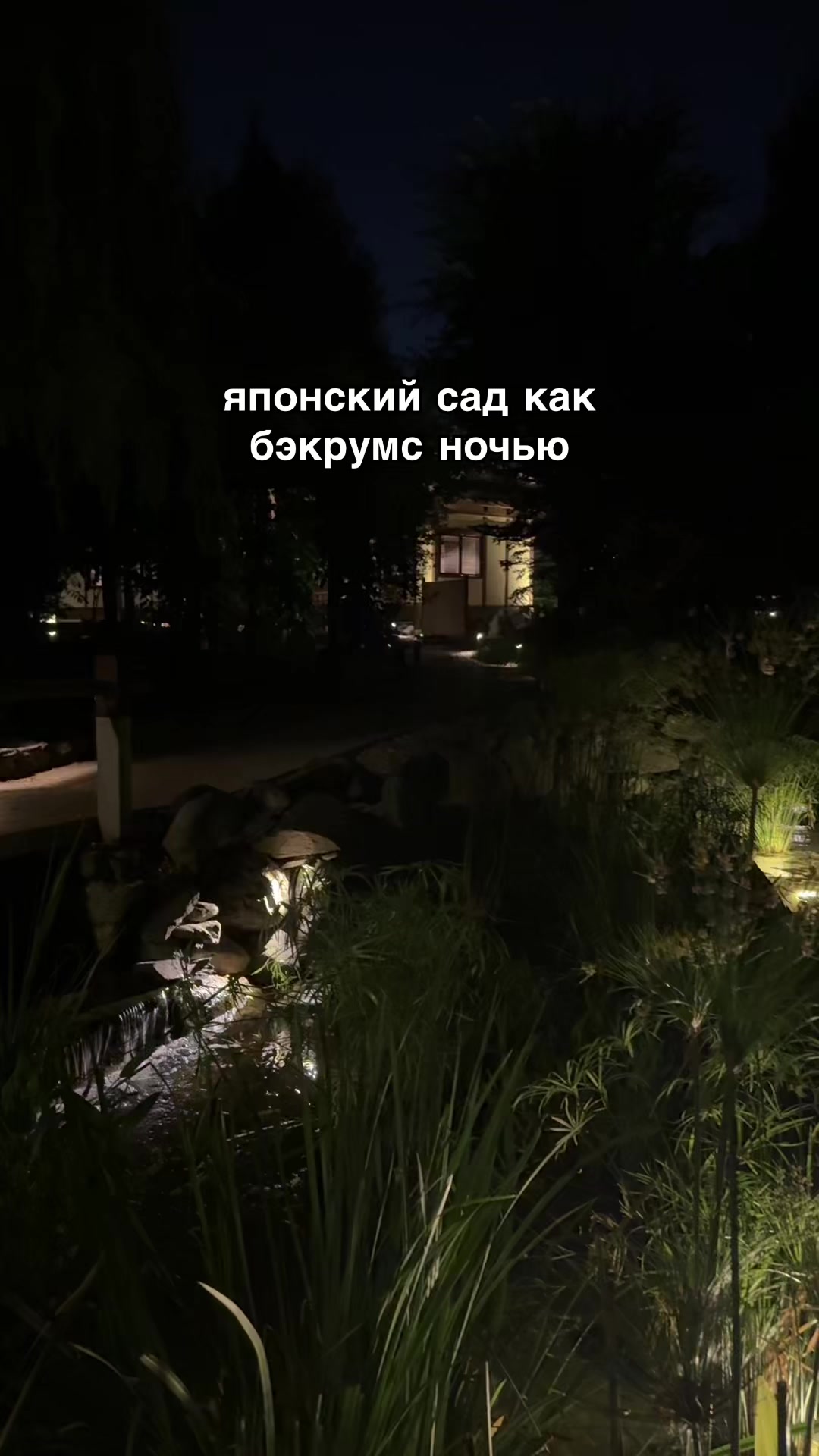 @ребейн.