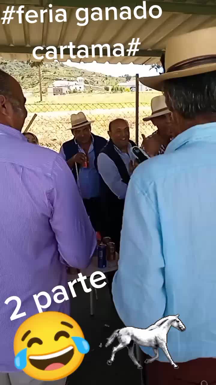 @antoncampos23