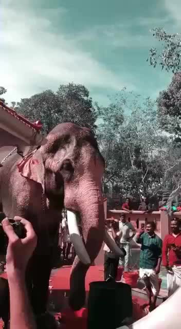 @_am_ajay